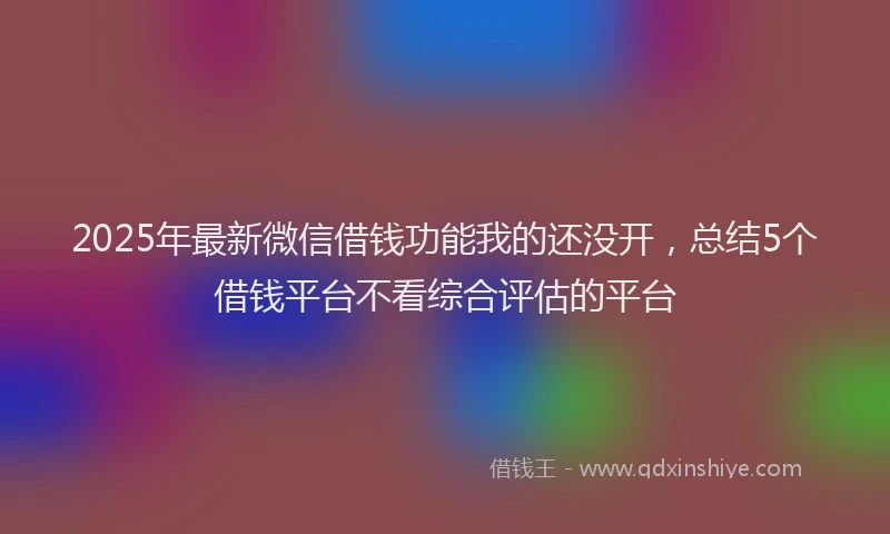 2025年最新微信借钱功能我的还没开，总结5个借钱平台不看综合评估的平台