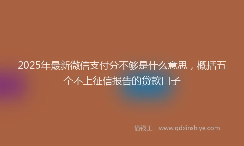 2025年最新微信支付分不够是什么意思，概括五个不上征信报告的贷款口子