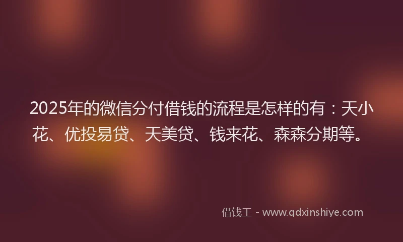 2025年的微信分付借钱的流程是怎样的有：天小花、优投易贷、天美贷、钱来花、森森分期等。