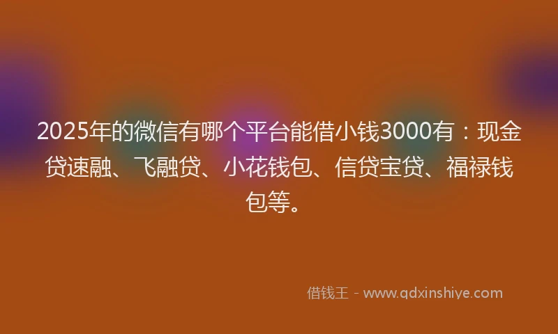 2025年的微信有哪个平台能借小钱3000有：现金贷速融、飞融贷、小花钱包、信贷宝贷、福禄钱包等。