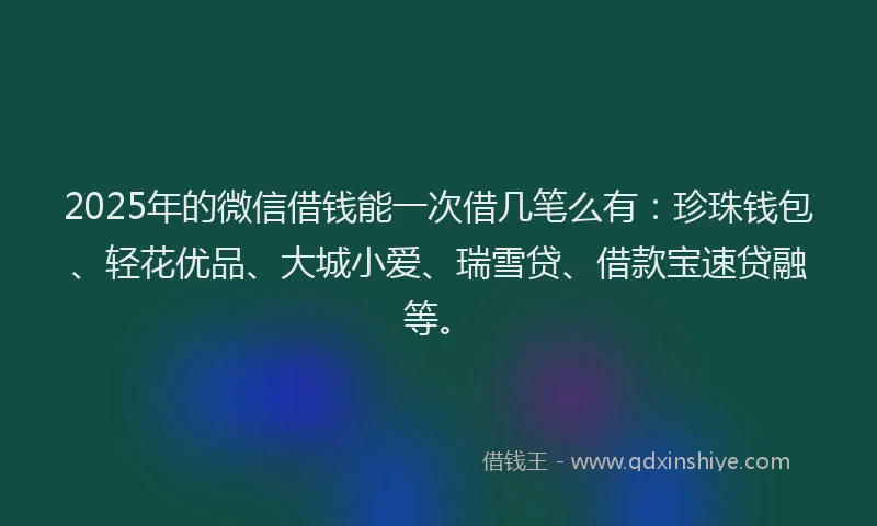 2025年的微信借钱能一次借几笔么有：珍珠钱包、轻花优品、大城小爱、瑞雪贷、借款宝速贷融等。