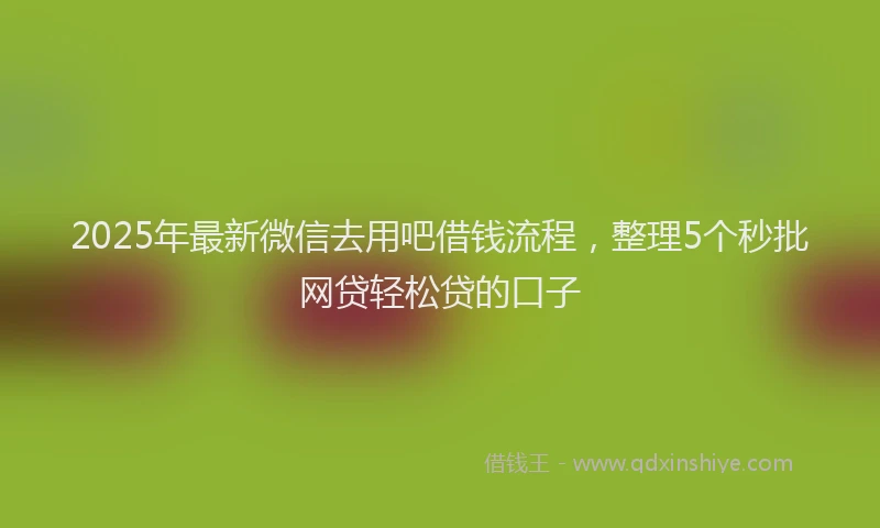 2025年最新微信去用吧借钱流程，整理5个秒批网贷轻松贷的口子