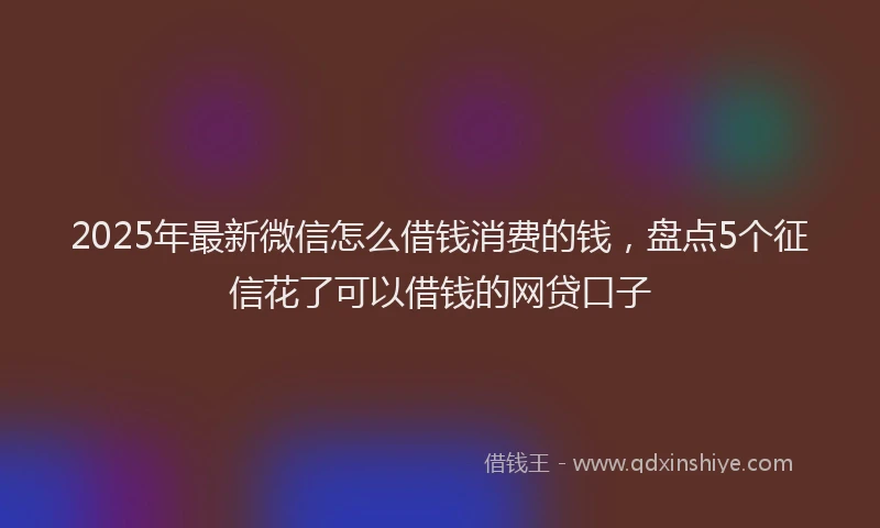 2025年最新微信怎么借钱消费的钱，盘点5个征信花了可以借钱的网贷口子