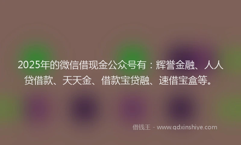 2025年的微信借现金公众号有：辉誉金融、人人贷借款、天天金、借款宝贷融、速借宝盒等。
