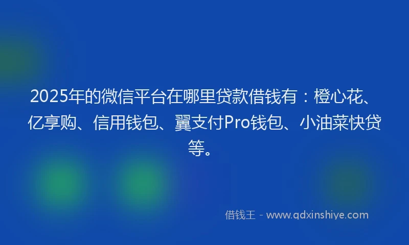 2025年的微信平台在哪里贷款借钱有：橙心花、亿享购、信用钱包、翼支付Pro钱包、小油菜快贷等。