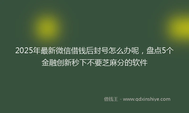 2025年最新微信借钱后封号怎么办呢，盘点5个金融创新秒下不要芝麻分的软件