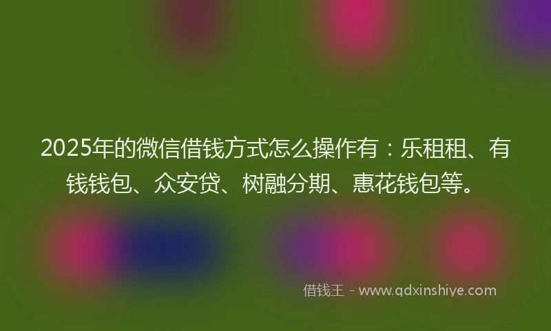 2025年的微信借钱方式怎么操作有：乐租租、有钱钱包、众安贷、树融分期、惠花钱包等。