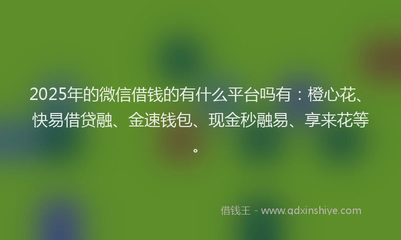 2025年的微信借钱的有什么平台吗有：橙心花、快易借贷融、金速钱包、现金秒融易、享来花等。
