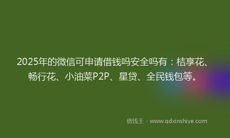 2025年的微信可申请借钱吗安全吗有：桔享花、畅行花、小油菜P2P、星贷、全民钱包等。