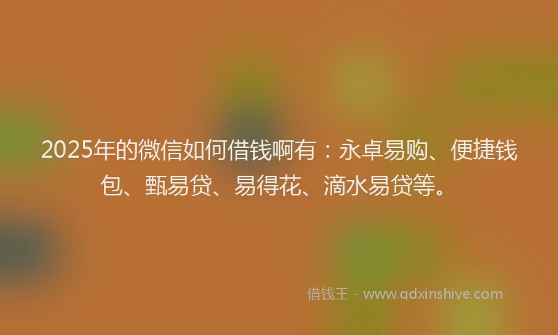 2025年的微信如何借钱啊有：永卓易购、便捷钱包、甄易贷、易得花、滴水易贷等。