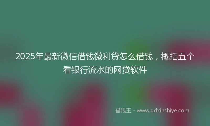 2025年最新微信借钱微利贷怎么借钱，概括五个看银行流水的网贷软件