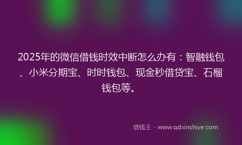 2025年的微信借钱时效中断怎么办有：智融钱包、小米分期宝、时时钱包、现金秒借贷宝、石榴钱包等。
