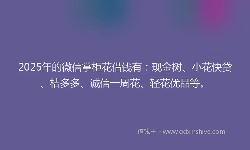 2025年的微信掌柜花借钱有：现金树、小花快贷、桔多多、诚信一周花、轻花优品等。