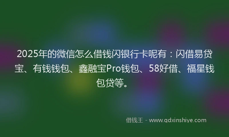 2025年的微信怎么借钱闪银行卡呢有：闪借易贷宝、有钱钱包、鑫融宝Pro钱包、58好借、福星钱包贷等。