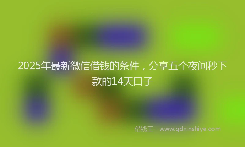 2025年最新微信借钱的条件，分享五个夜间秒下款的14天口子