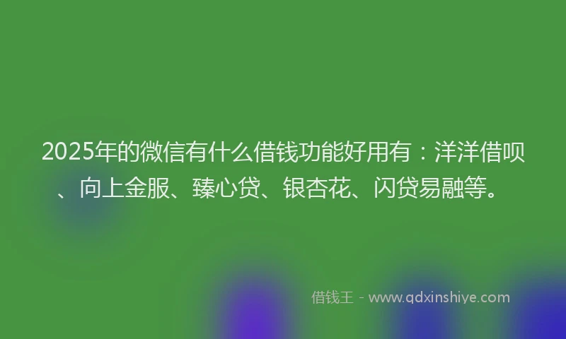 2025年的微信有什么借钱功能好用有：洋洋借呗、向上金服、臻心贷、银杏花、闪贷易融等。