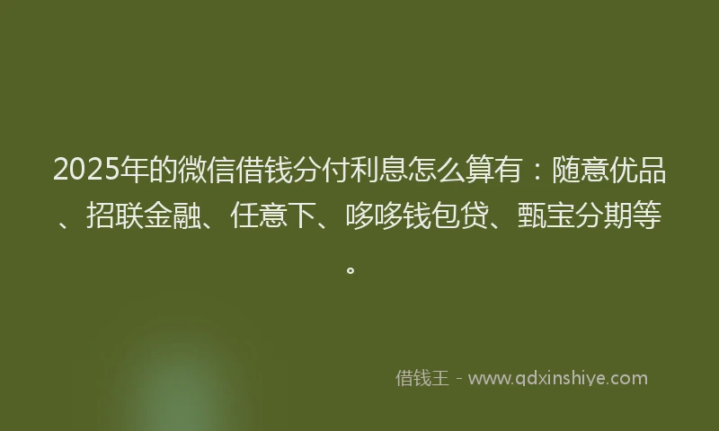 2025年的微信借钱分付利息怎么算有：随意优品、招联金融、任意下、哆哆钱包贷、甄宝分期等。