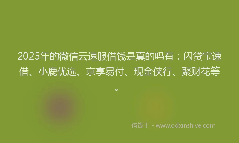 2025年的微信云速服借钱是真的吗有：闪贷宝速借、小鹿优选、京享易付、现金侠行、聚财花等。