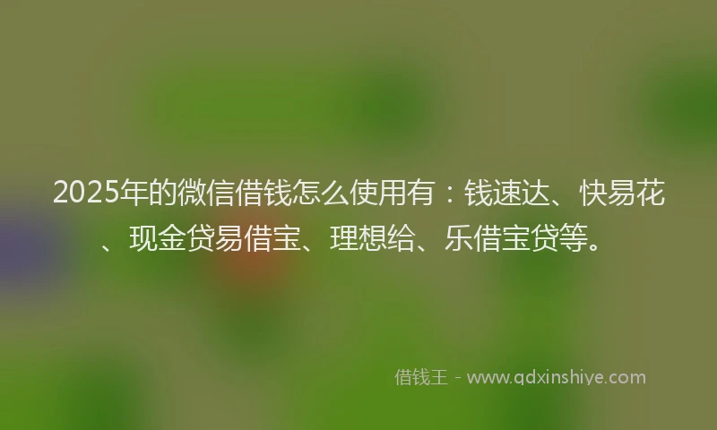 2025年的微信借钱怎么使用有：钱速达、快易花、现金贷易借宝、理想给、乐借宝贷等。