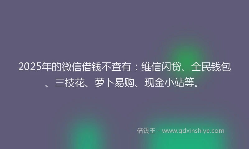 2025年的微信借钱不查有：维信闪贷、全民钱包、三枝花、萝卜易购、现金小站等。