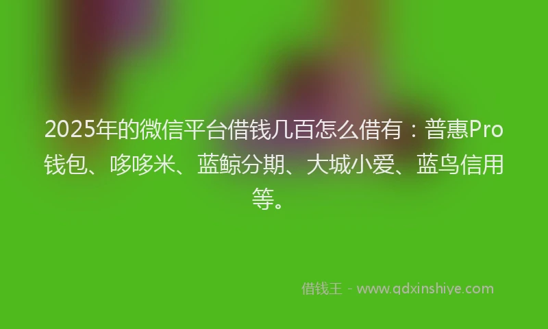 2025年的微信平台借钱几百怎么借有：普惠Pro钱包、哆哆米、蓝鲸分期、大城小爱、蓝鸟信用等。