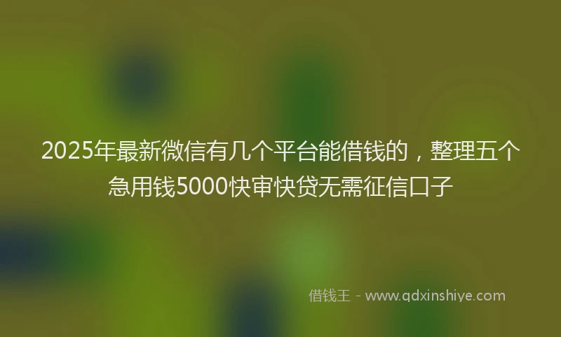 2025年最新微信有几个平台能借钱的，整理五个急用钱5000快审快贷无需征信口子
