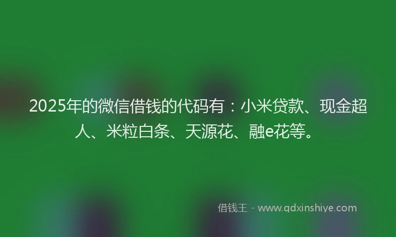2025年的微信借钱的代码有：小米贷款、现金超人、米粒白条、天源花、融e花等。