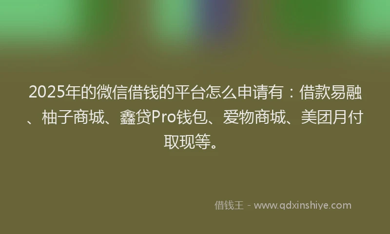 2025年的微信借钱的平台怎么申请有：借款易融、柚子商城、鑫贷Pro钱包、爱物商城、美团月付取现等。