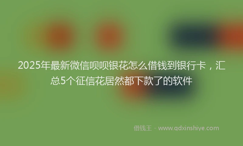 2025年最新微信呗呗银花怎么借钱到银行卡，汇总5个征信花居然都下款了的软件