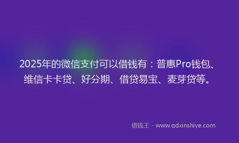 2025年的微信支付可以借钱有：普惠Pro钱包、维信卡卡贷、好分期、借贷易宝、麦芽贷等。