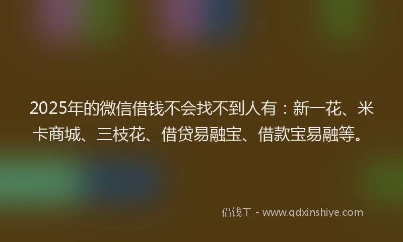2025年的微信借钱不会找不到人有：新一花、米卡商城、三枝花、借贷易融宝、借款宝易融等。