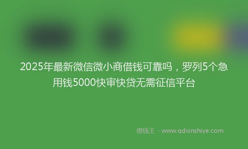 2025年最新微信微小商借钱可靠吗，罗列5个急用钱5000快审快贷无需征信平台