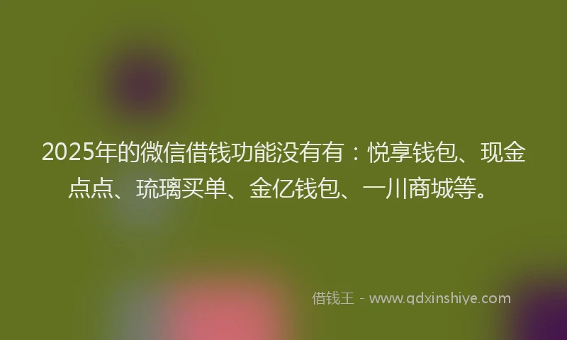 2025年的微信借钱功能没有有：悦享钱包、现金点点、琉璃买单、金亿钱包、一川商城等。