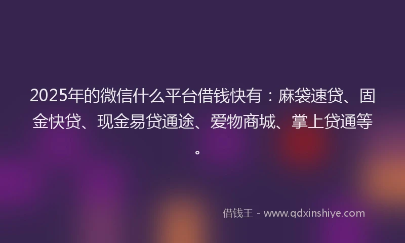 2025年的微信什么平台借钱快有：麻袋速贷、固金快贷、现金易贷通途、爱物商城、掌上贷通等。