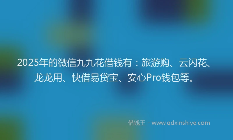 2025年的微信九九花借钱有：旅游购、云闪花、龙龙用、快借易贷宝、安心Pro钱包等。