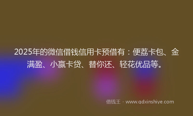 2025年的微信借钱信用卡预借有：便荔卡包、金满盈、小赢卡贷、替你还、轻花优品等。