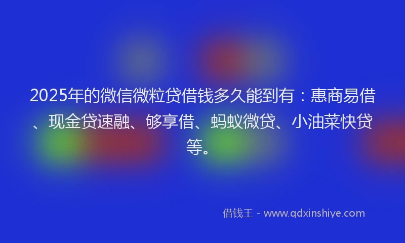 2025年的微信微粒贷借钱多久能到有：惠商易借、现金贷速融、够享借、蚂蚁微贷、小油菜快贷等。