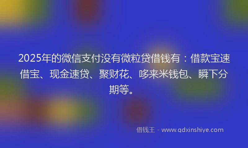 2025年的微信支付没有微粒贷借钱有：借款宝速借宝、现金速贷、聚财花、哆来米钱包、瞬下分期等。