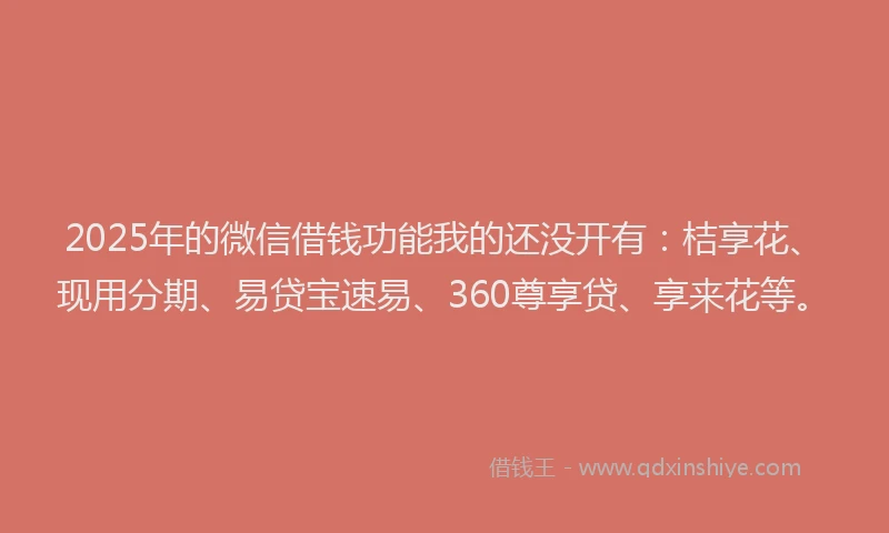 2025年的微信借钱功能我的还没开有：桔享花、现用分期、易贷宝速易、360尊享贷、享来花等。