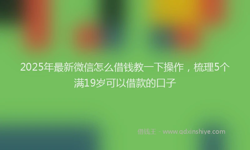 2025年最新微信怎么借钱教一下操作，梳理5个满19岁可以借款的口子