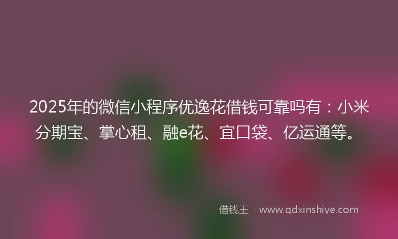 2025年的微信小程序优逸花借钱可靠吗有：小米分期宝、掌心租、融e花、宜口袋、亿运通等。