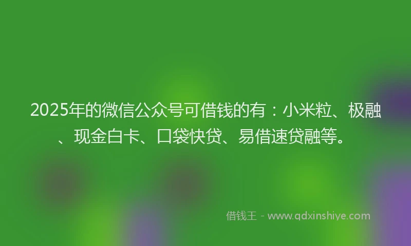 2025年的微信公众号可借钱的有：小米粒、极融、现金白卡、口袋快贷、易借速贷融等。