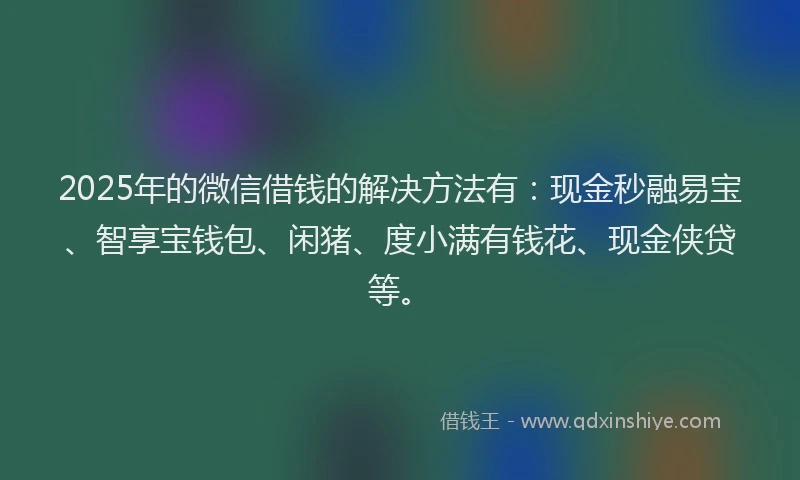 2025年的微信借钱的解决方法有：现金秒融易宝、智享宝钱包、闲猪、度小满有钱花、现金侠贷等。