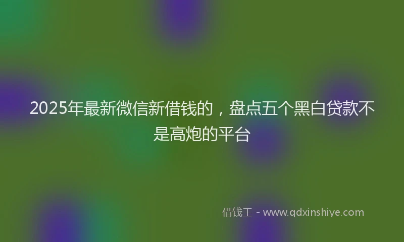 2025年最新微信新借钱的，盘点五个黑白贷款不是高炮的平台