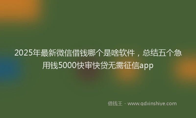 2025年最新微信借钱哪个是啥软件，总结五个急用钱5000快审快贷无需征信app