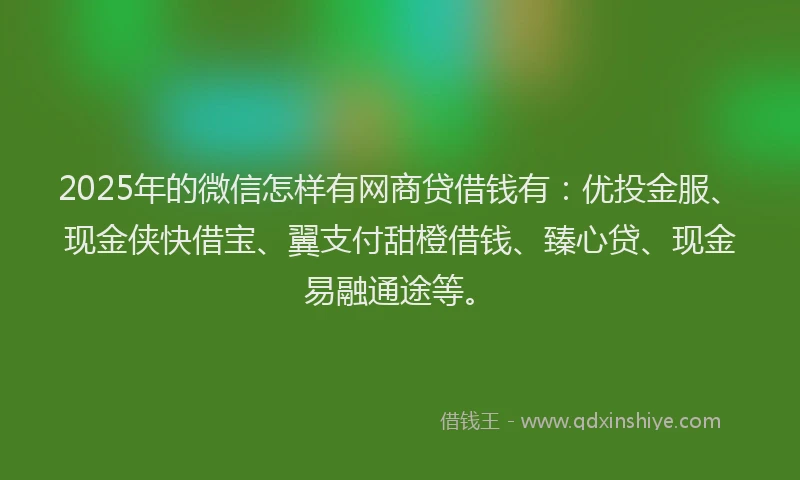 2025年的微信怎样有网商贷借钱有：优投金服、现金侠快借宝、翼支付甜橙借钱、臻心贷、现金易融通途等。
