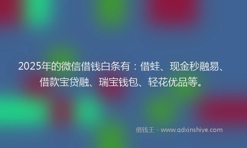 2025年的微信借钱白条有：借蛙、现金秒融易、借款宝贷融、瑞宝钱包、轻花优品等。