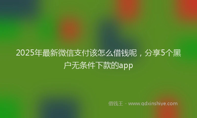2025年最新微信支付该怎么借钱呢，分享5个黑户无条件下款的app