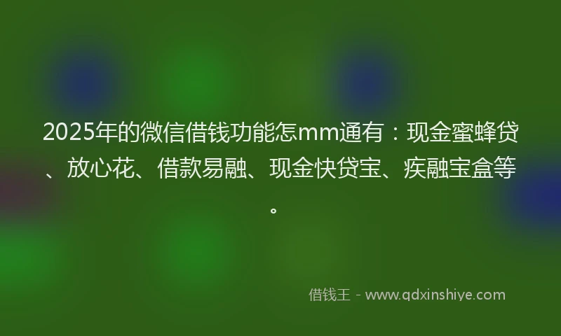 2025年的微信借钱功能怎mm通有：现金蜜蜂贷、放心花、借款易融、现金快贷宝、疾融宝盒等。