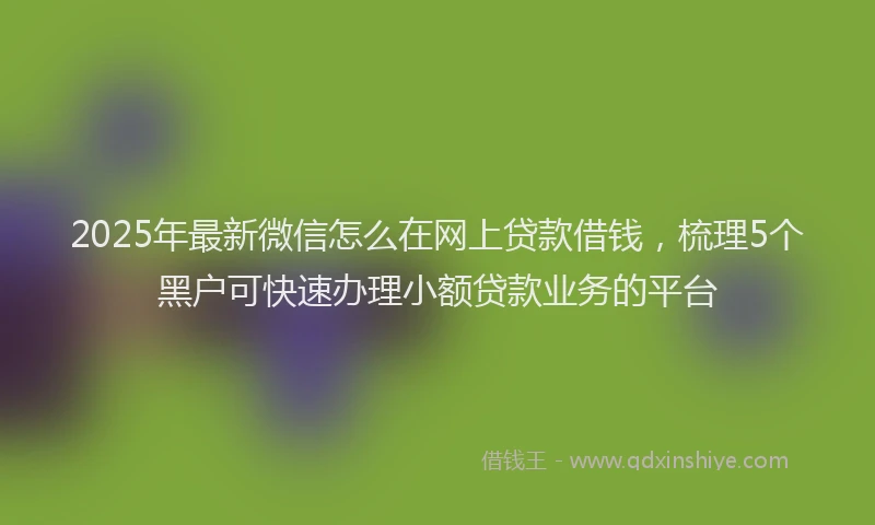 2025年最新微信怎么在网上贷款借钱，梳理5个黑户可快速办理小额贷款业务的平台